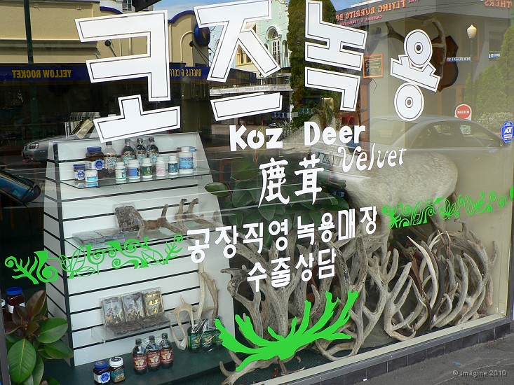 20.13- Vitrine d'un magasin coreen qui vend de la poudre de corne de daim, aphrodisiaque.JPG
